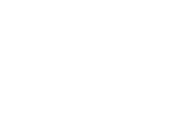 KAMINO — Sild Hispaaniasse — Building Global Bridges